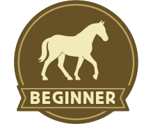 beginners
